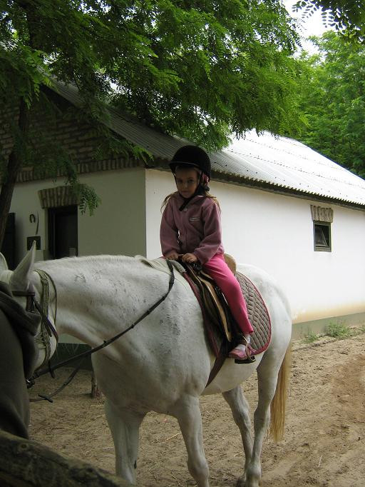 2009.06.04. Erdei óvoda Jánoshalma 128