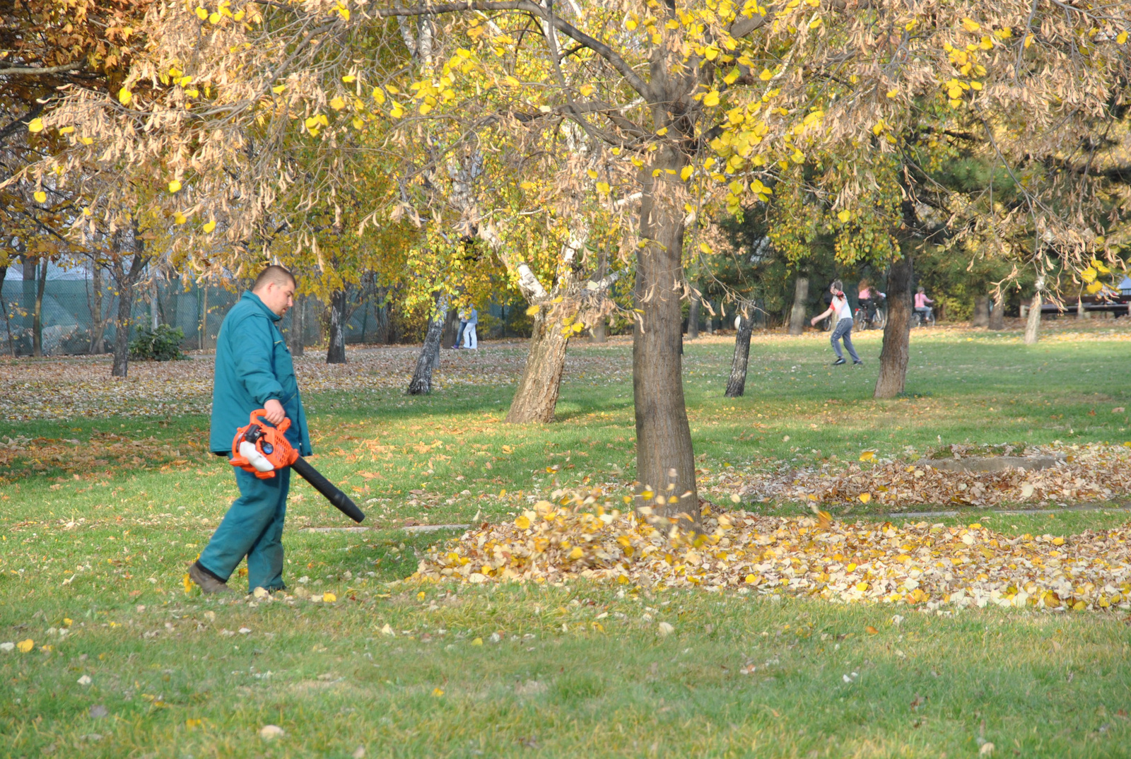 Ősz a parkban