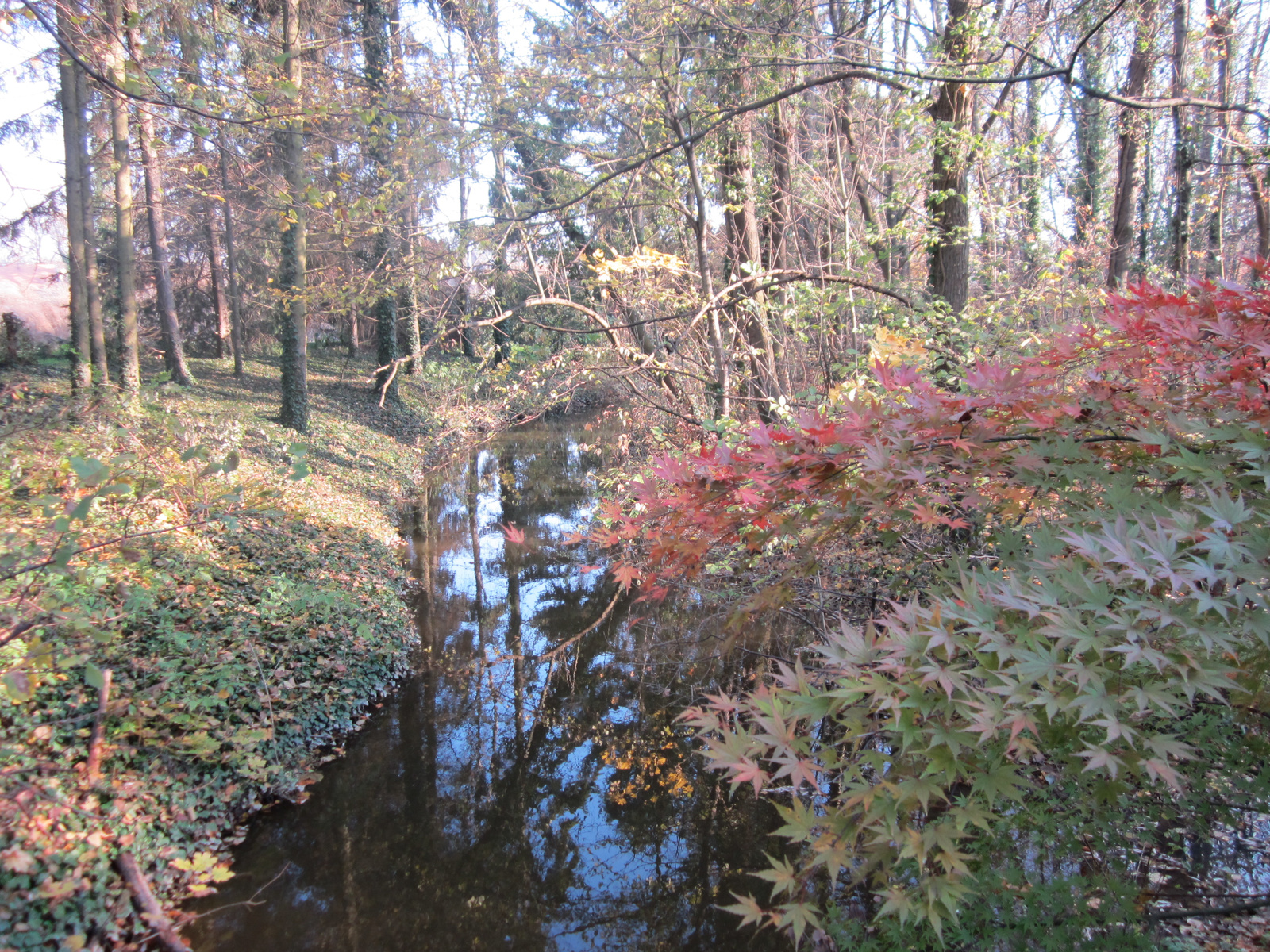 2010.10.30. Vácrátóti Botanikus Kert