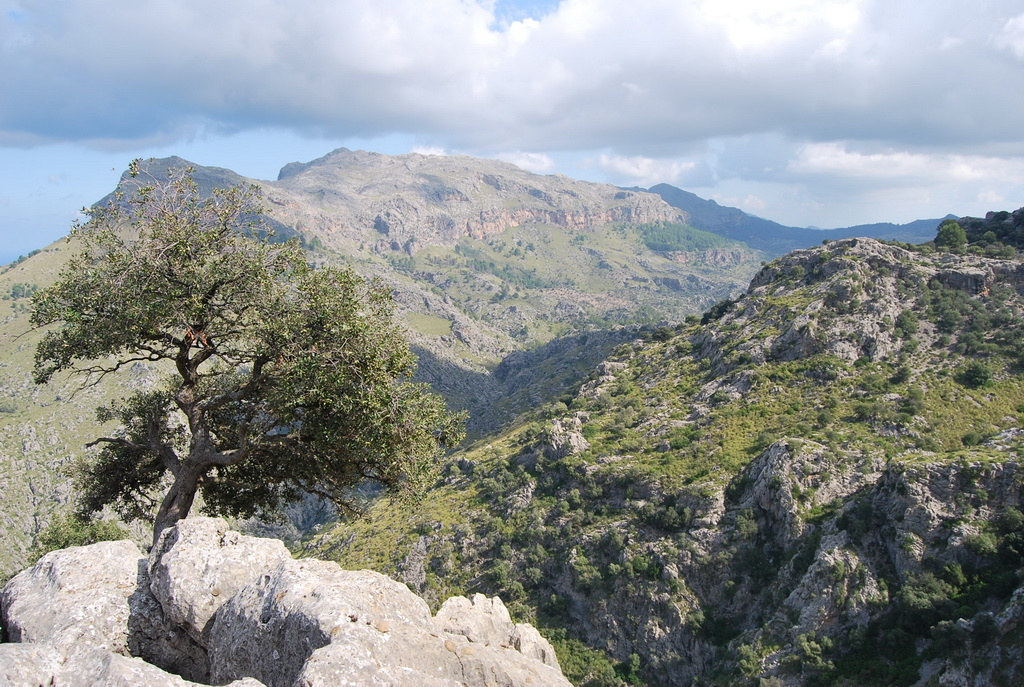 mallorca2008-272