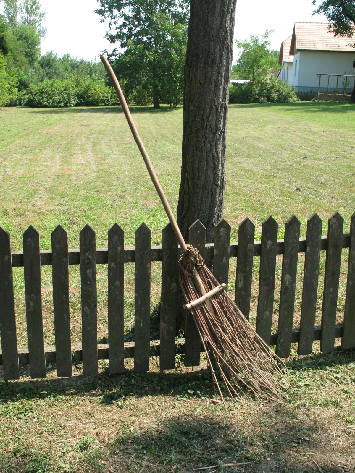 a new broom sweeps clean