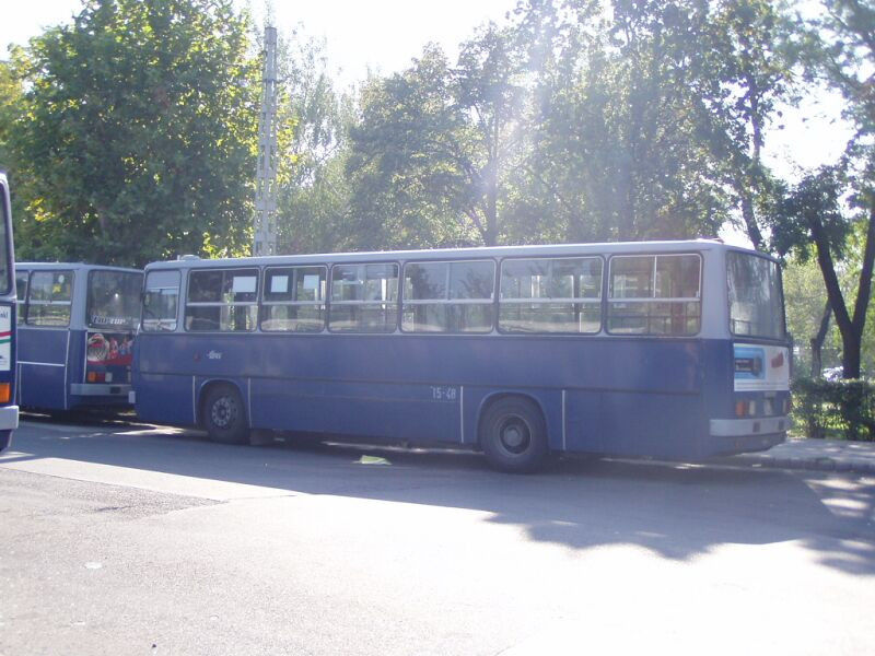 busz-080929 (12)