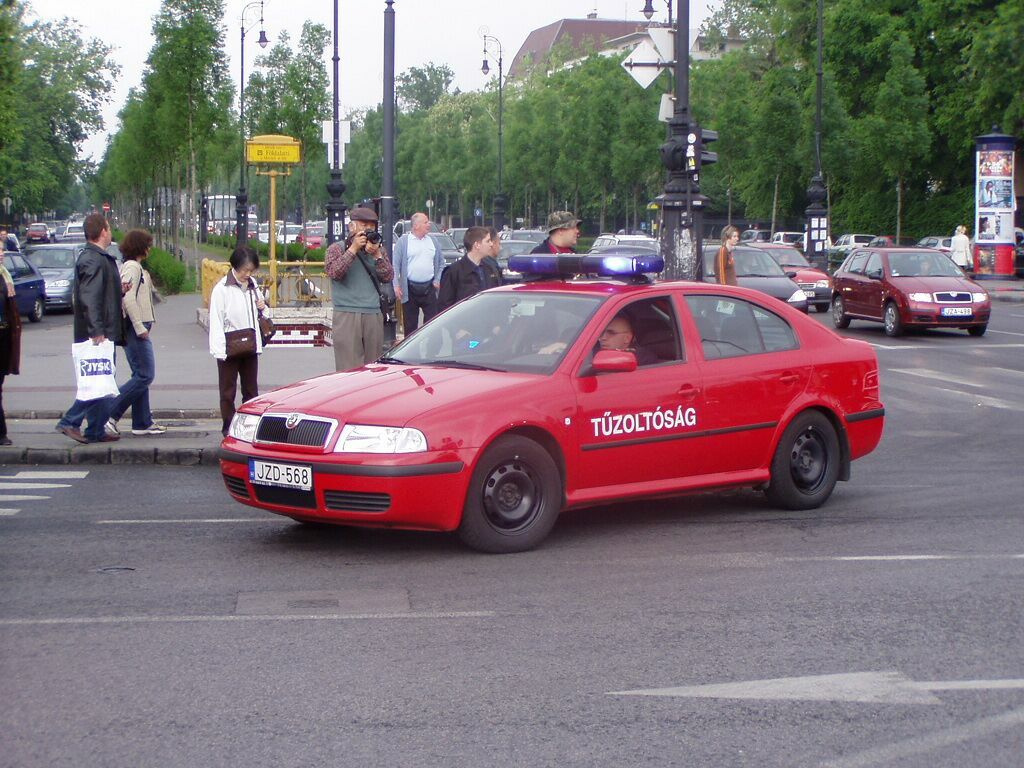 majális-budapest (37)