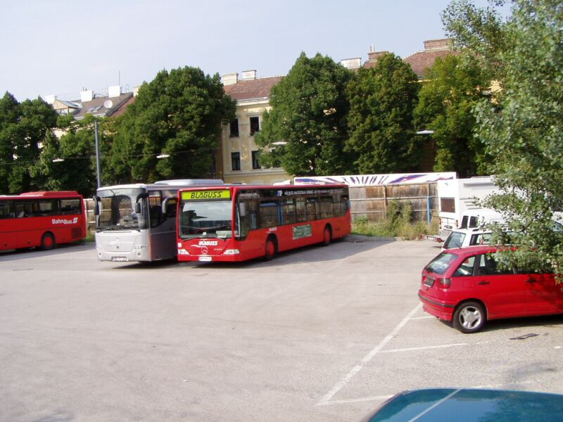 busz (08)