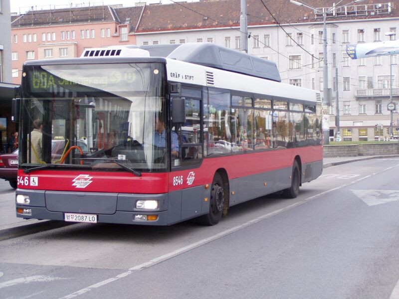 busz (8)