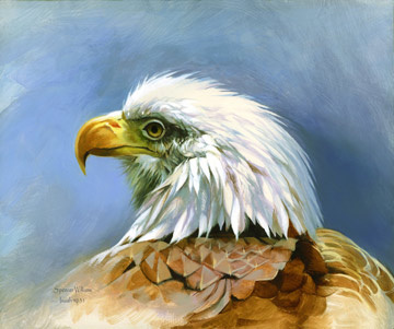 eagle-portrait-155