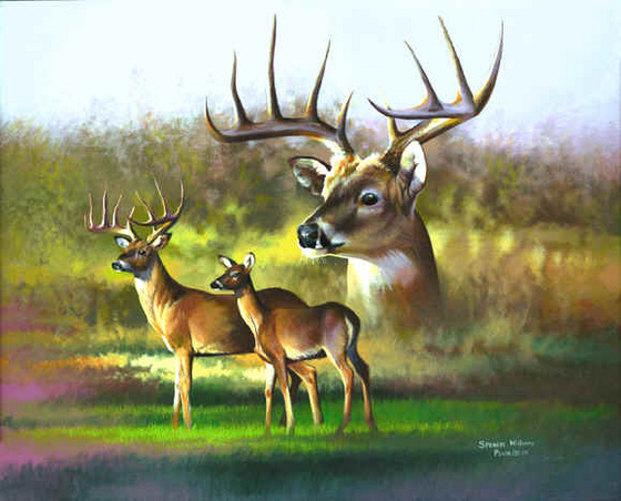 Frost Buck copy