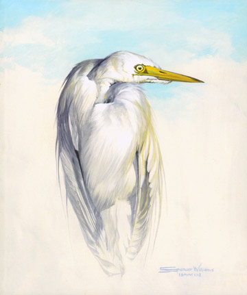 heron-151