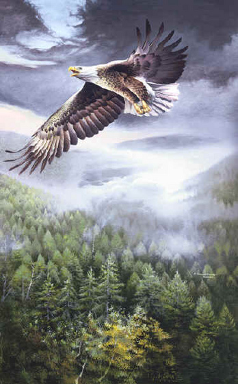 nafpae eagle