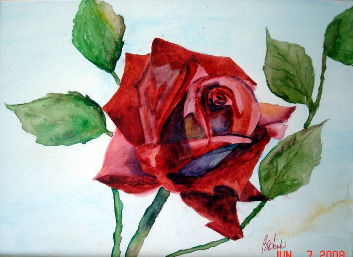 Rose 1 Watercolor