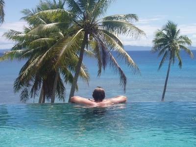 taveuni palms