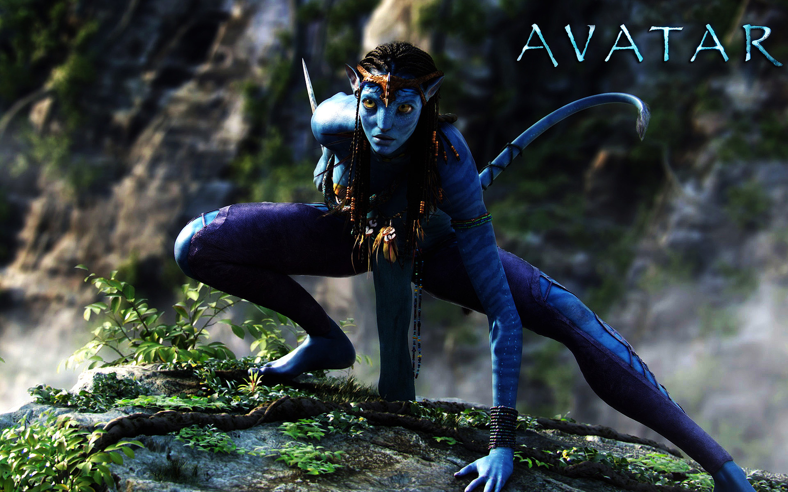 avatar-alwinclores