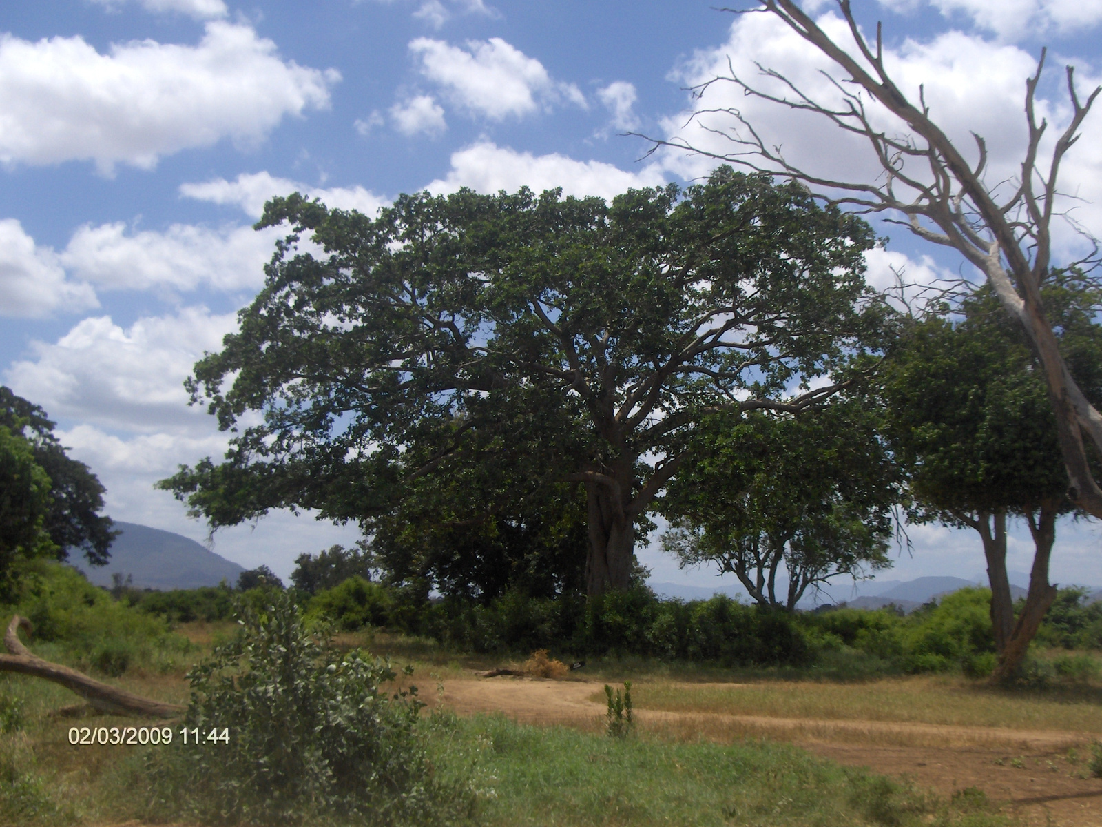 Kenya Tsavo Easet kelet nemzeti park