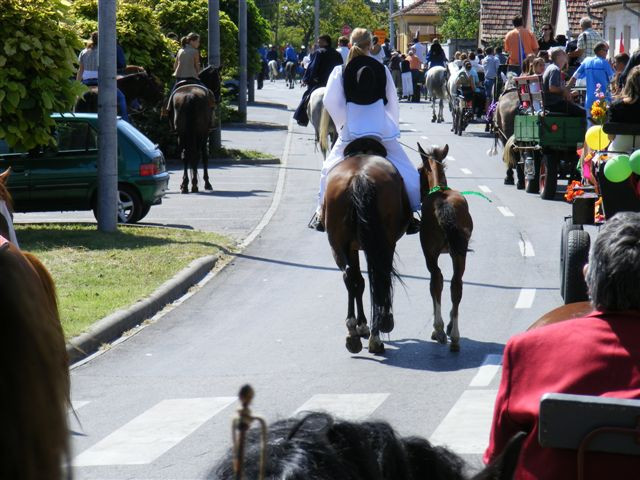 2009.09.05.kiskorosi szureti napok 029