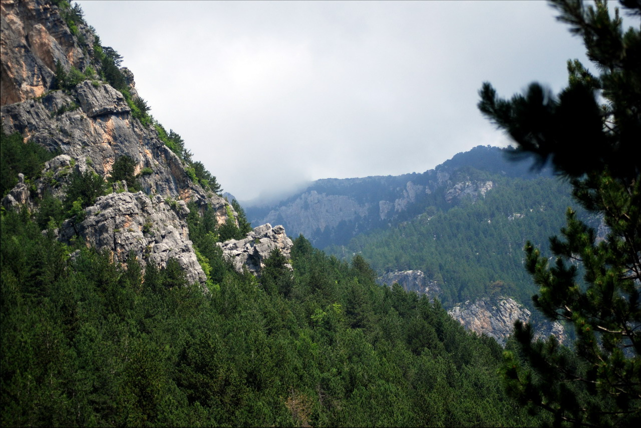 olympos38