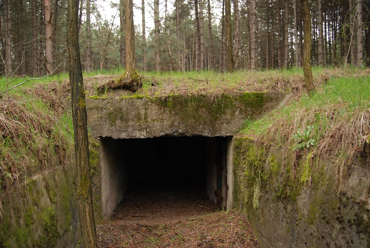 bunker of the forest