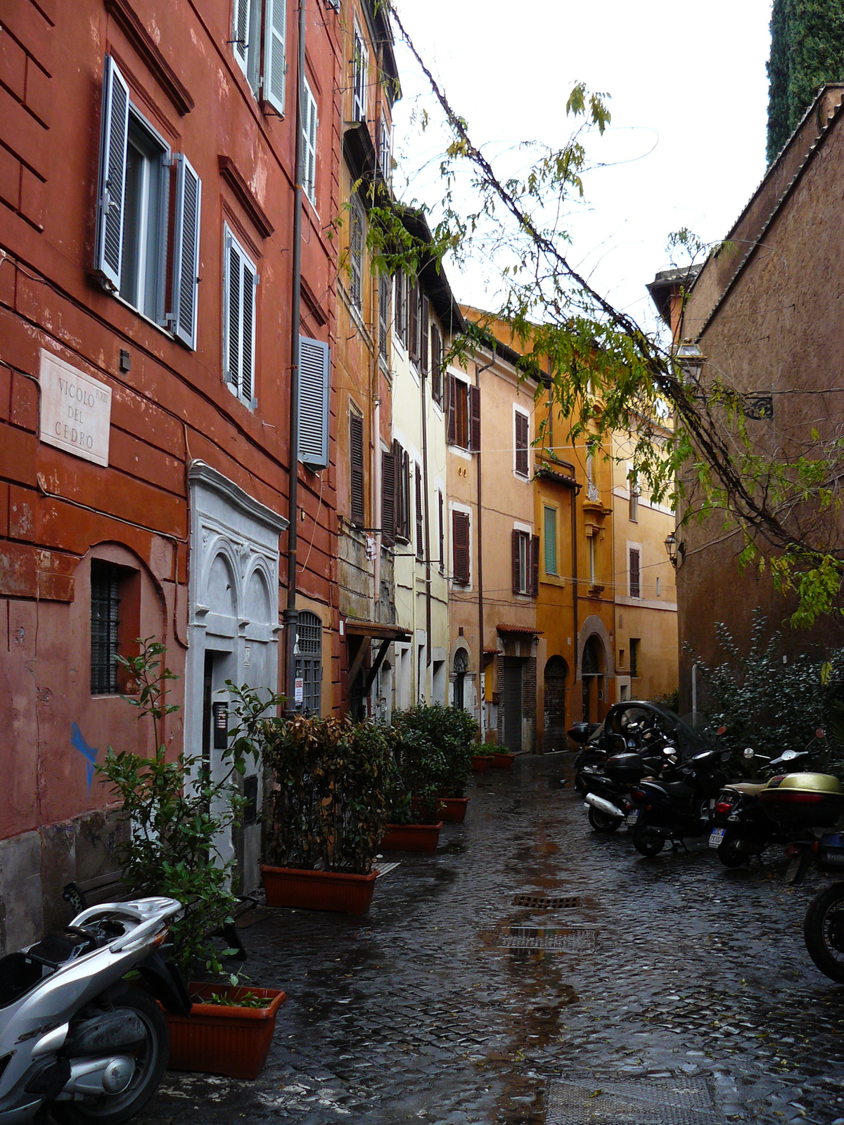 Trastevere