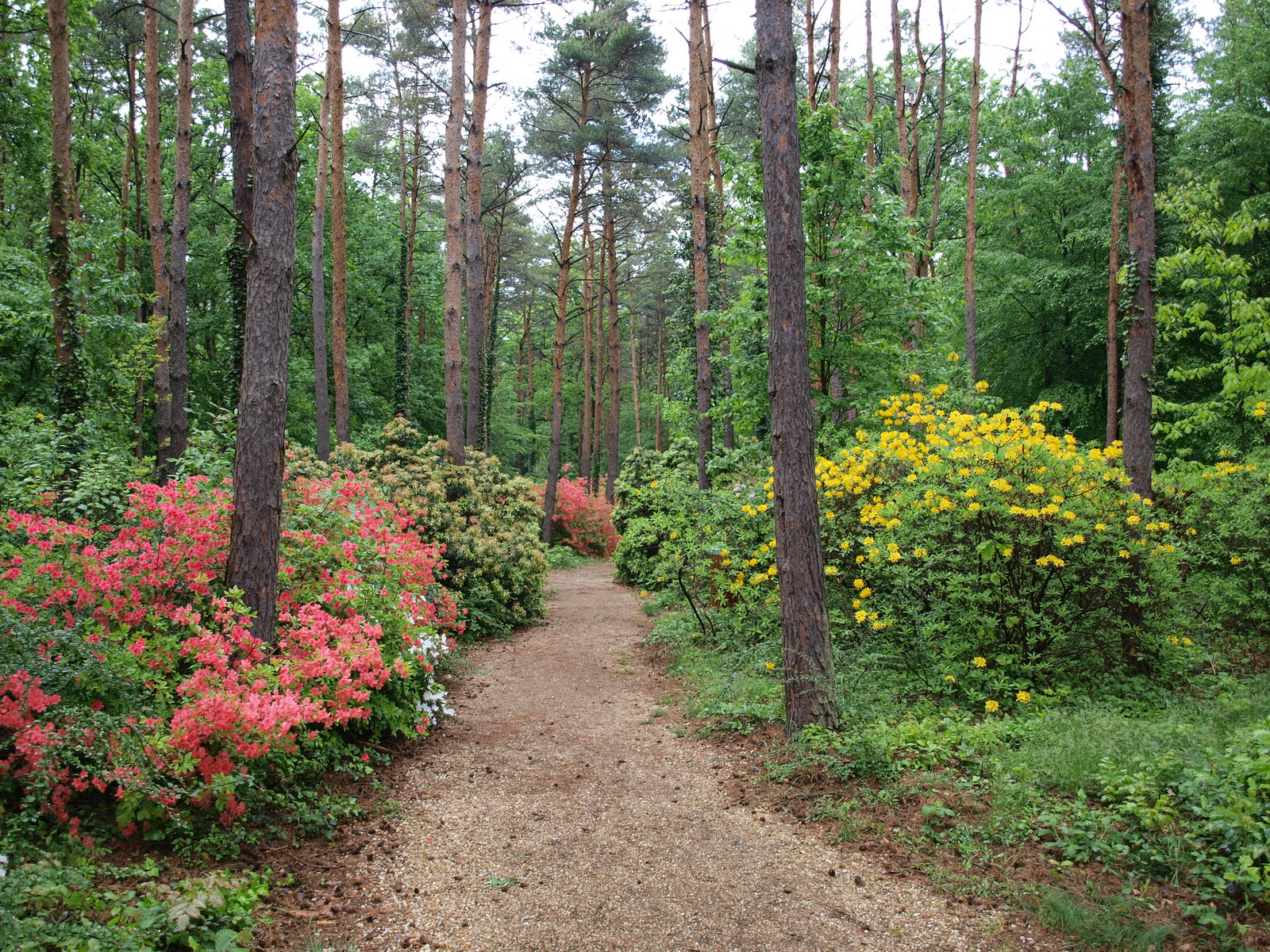 Jeli Arborétum 18