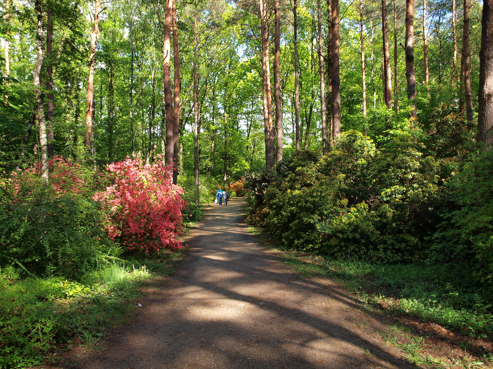 Jeli Arborétum 68