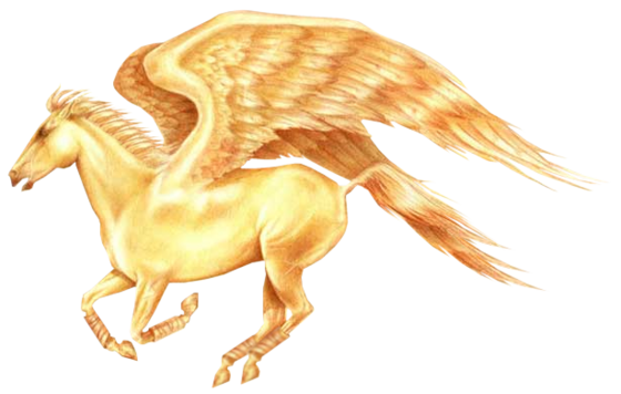 kc goldenpegasus.png