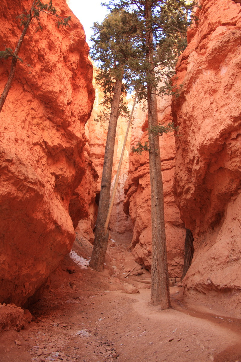 Bryce Canyon - A völgyben2