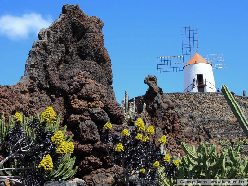 Jardin de Cactus-Lanzarote-Kan�ri-szigetek