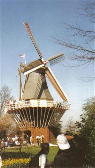 1414270-Keukenhof Windmill-Keukenhof (Medium)