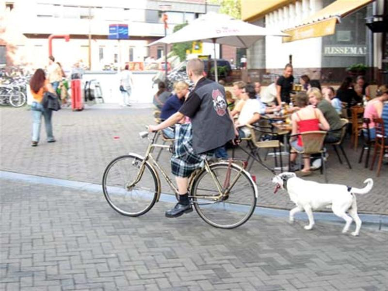 pq1s amsterdam bicycle dog (Medium) (Medium)