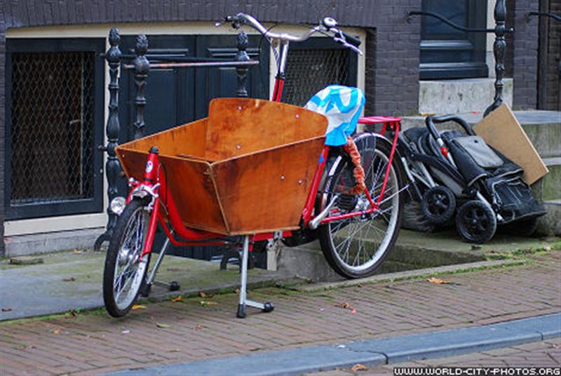 Strange bicycle (Medium)