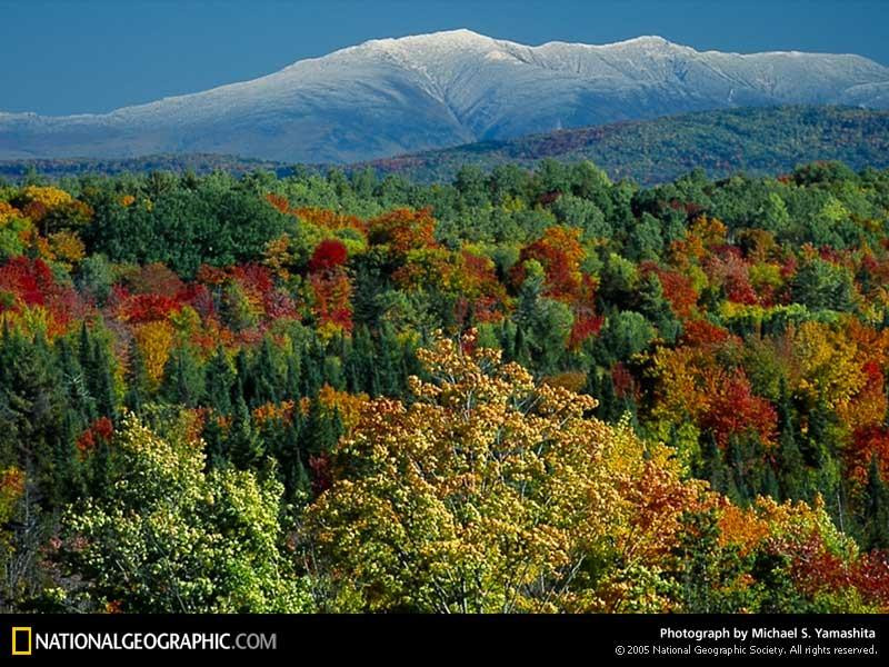 autumn-foliage-523361-sw (Medium)