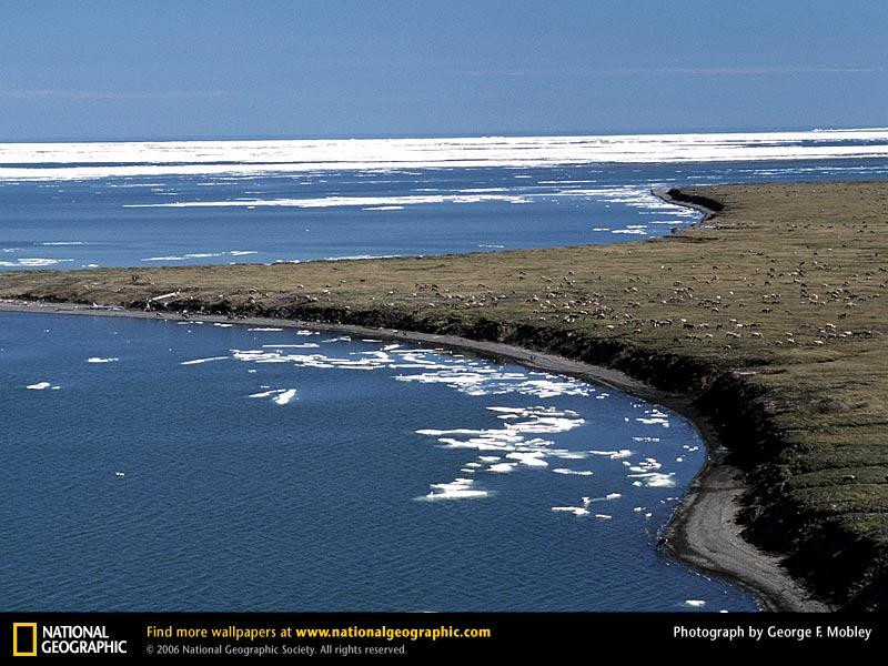 beaufort-lagoon-71368-sw (Medium)