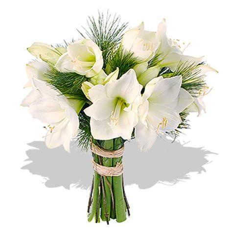 6924-white amaryllis bouquet (Small)