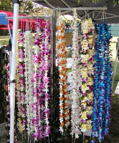 lei day 2006 07 (Medium)