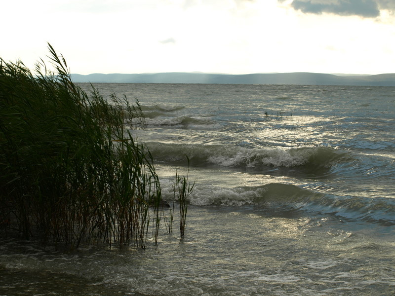 balaton2008+ 457