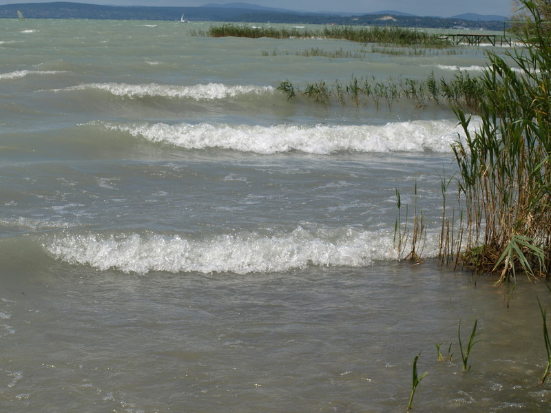 balaton2008+ 100