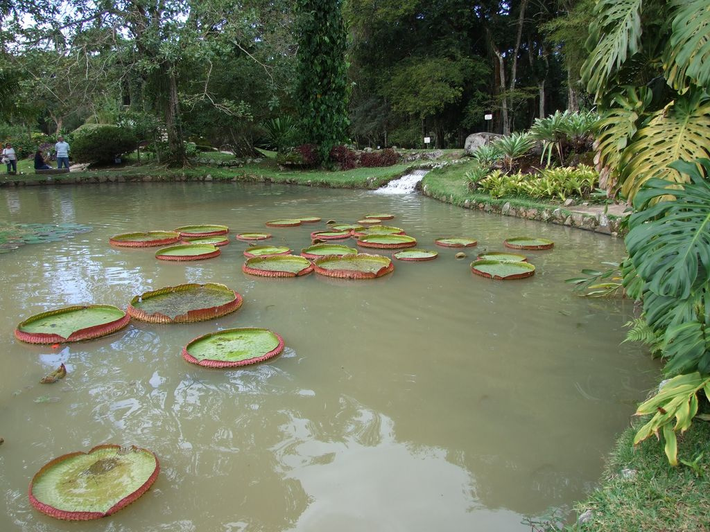 brazília 2009 276