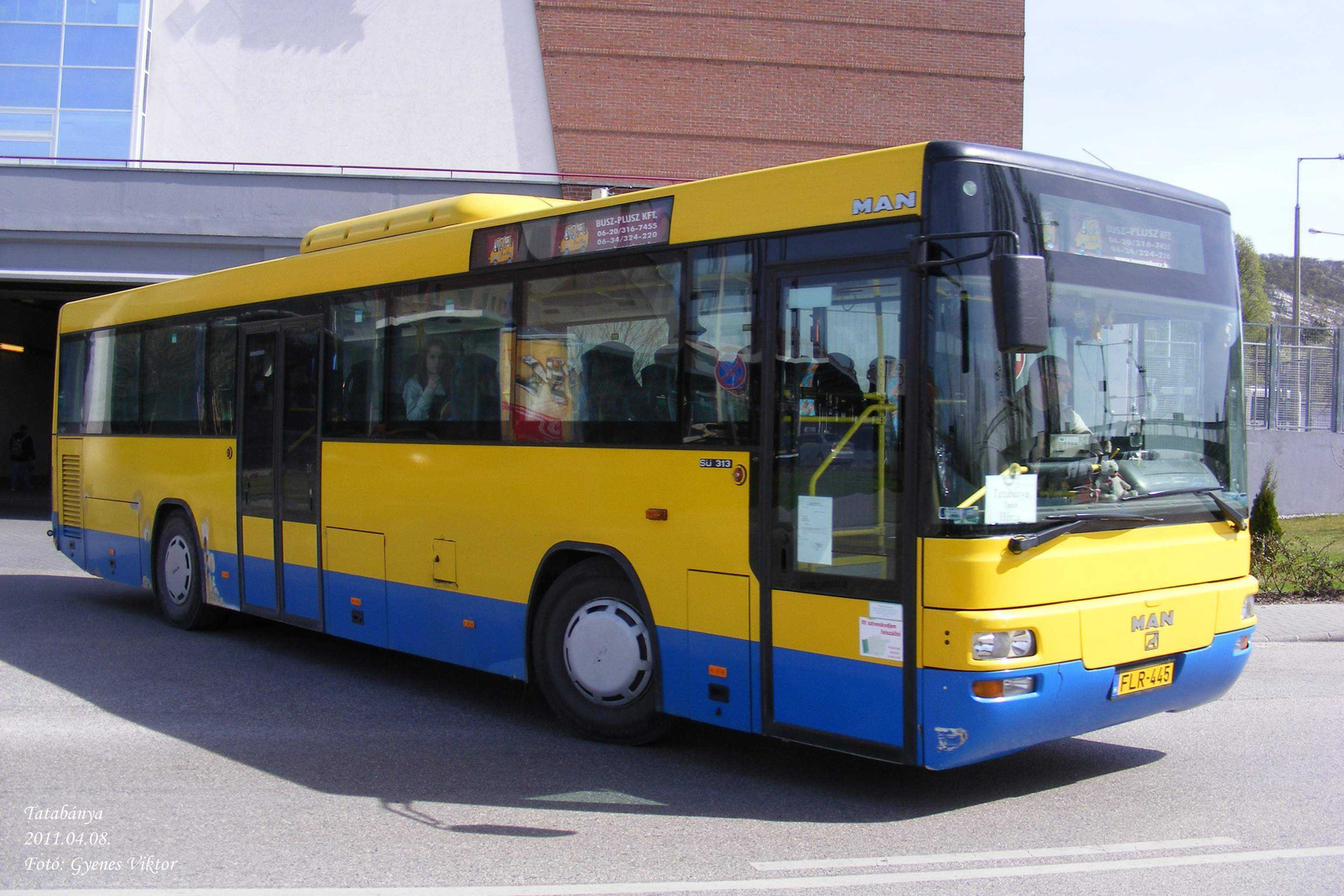 MAN SÜ313-FLR-445