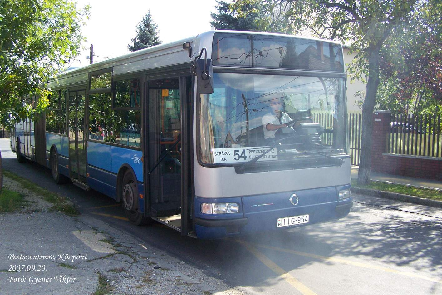 Busz IIG-954 1