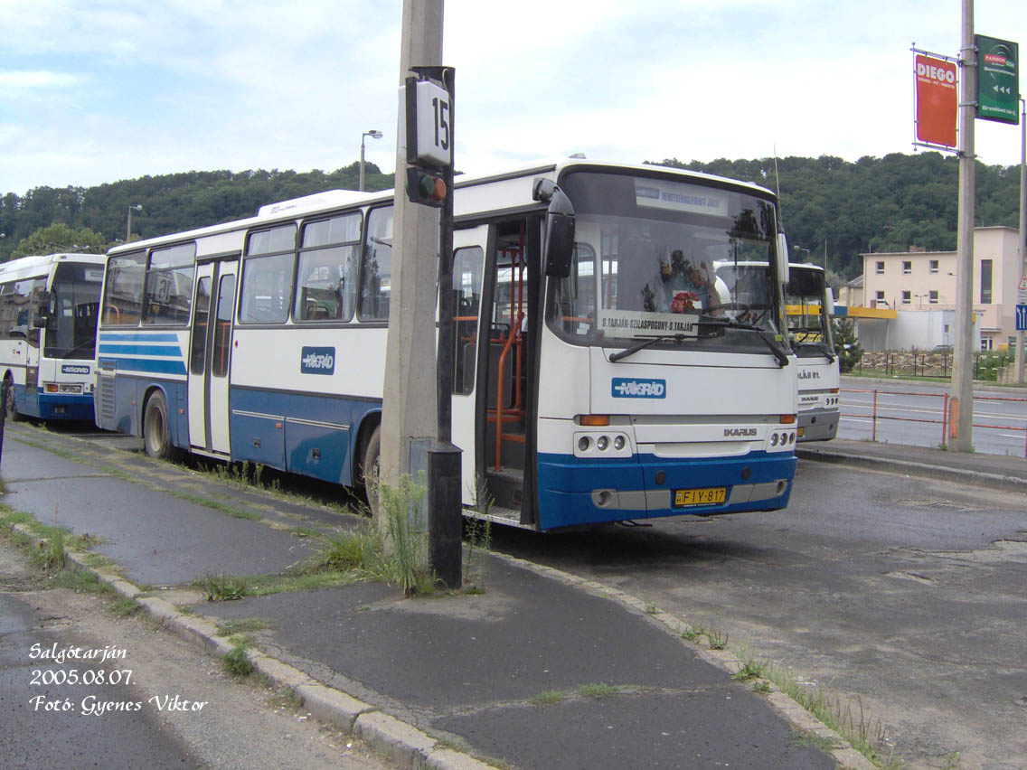 Ikarus Classic C56-FIY-817