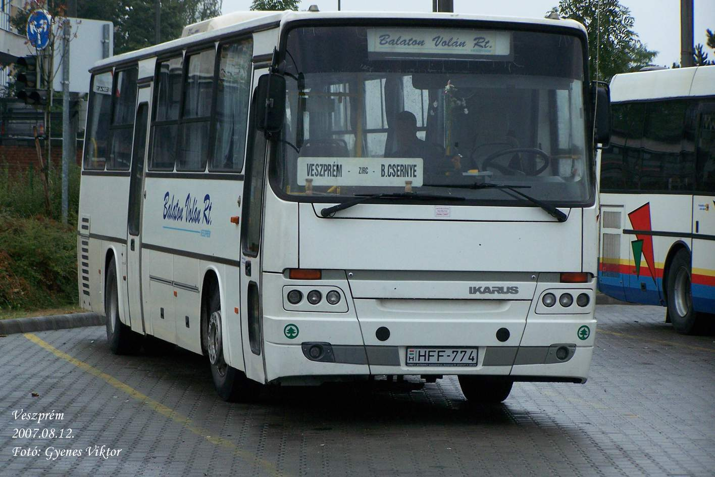 Ikarus Classic C56-HFF-774