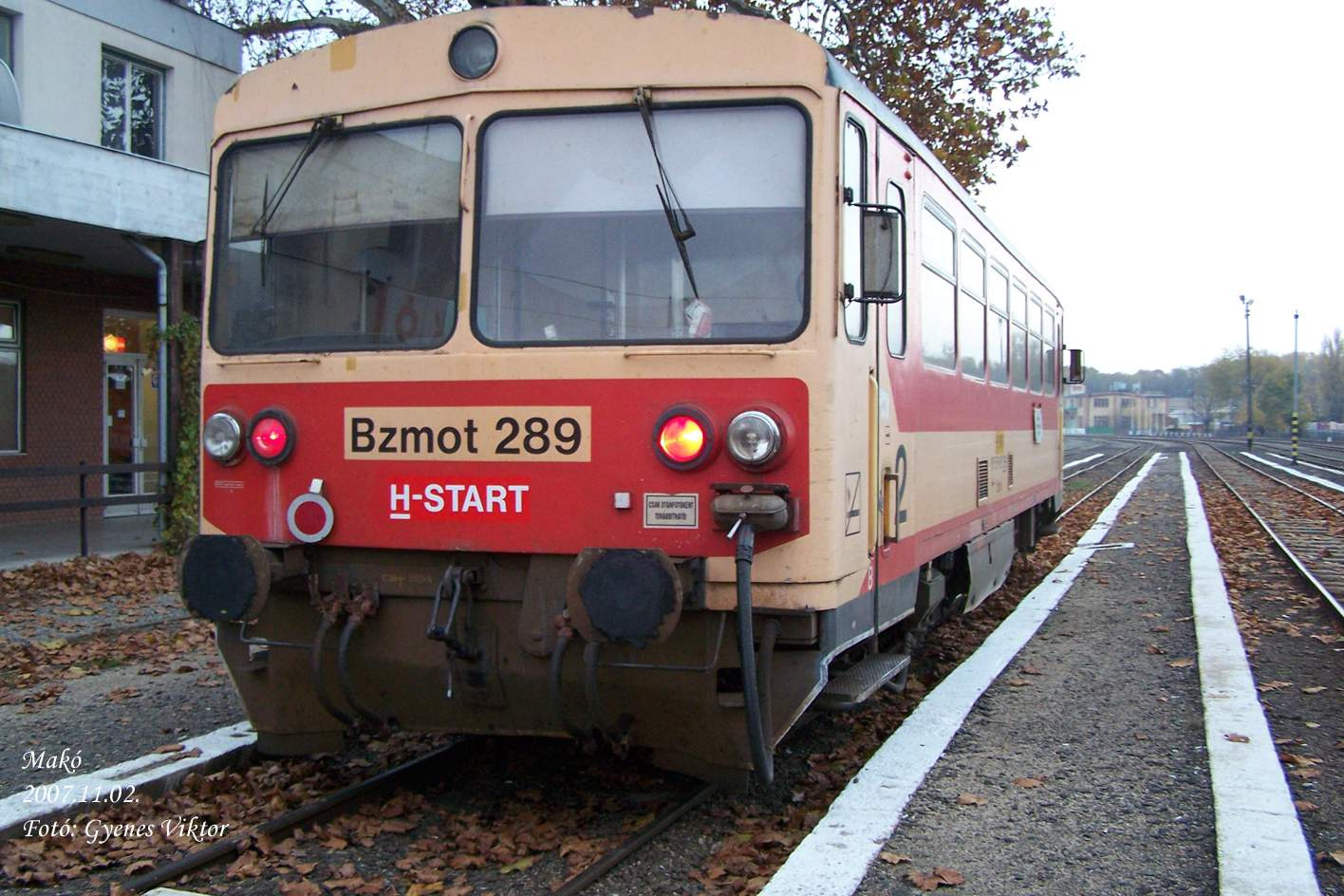 Bzmot289