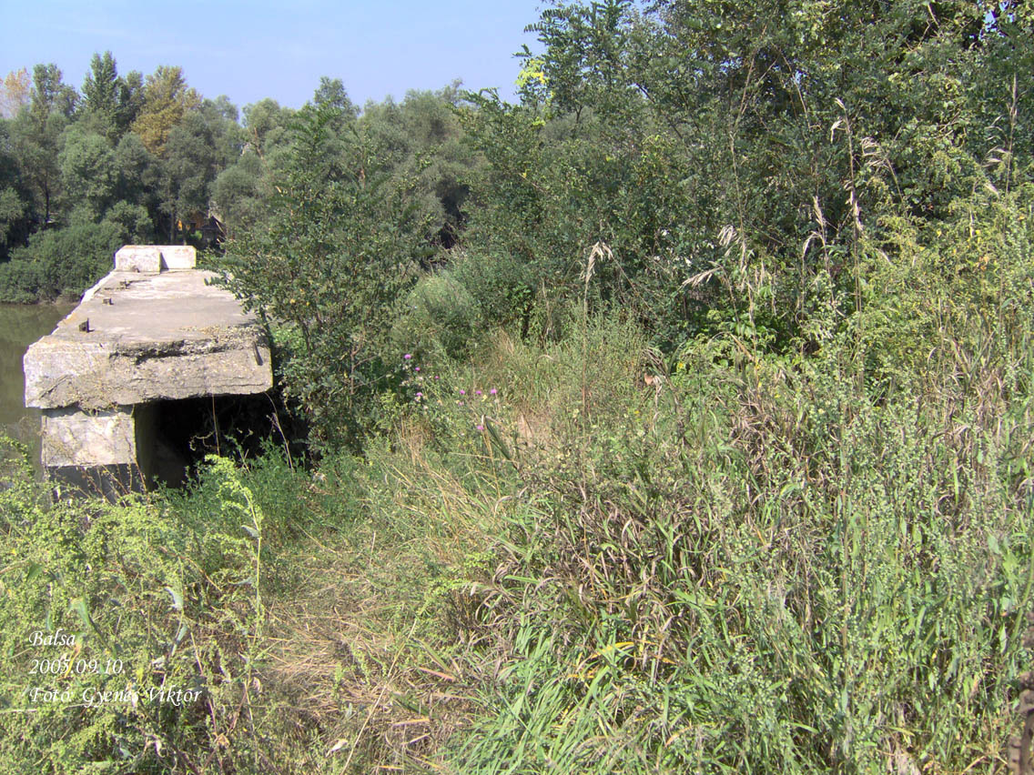 Nyíregyházi kisvasút-Balsai Tisza-híd torzója3