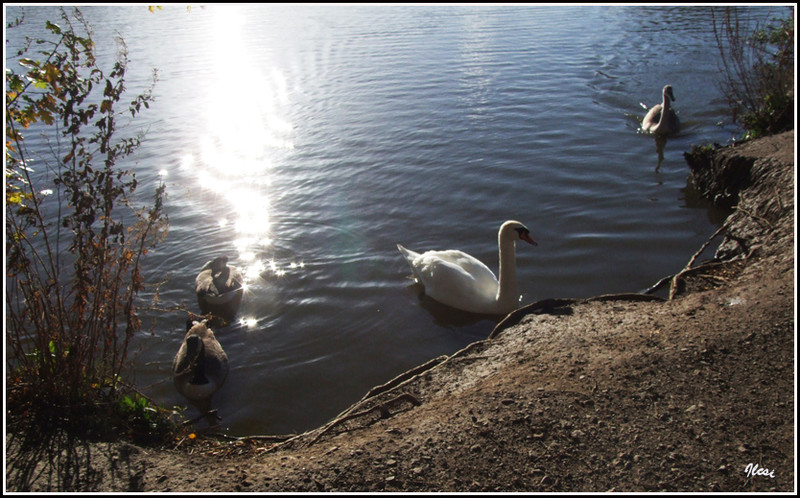 Beeston, Attenborough park