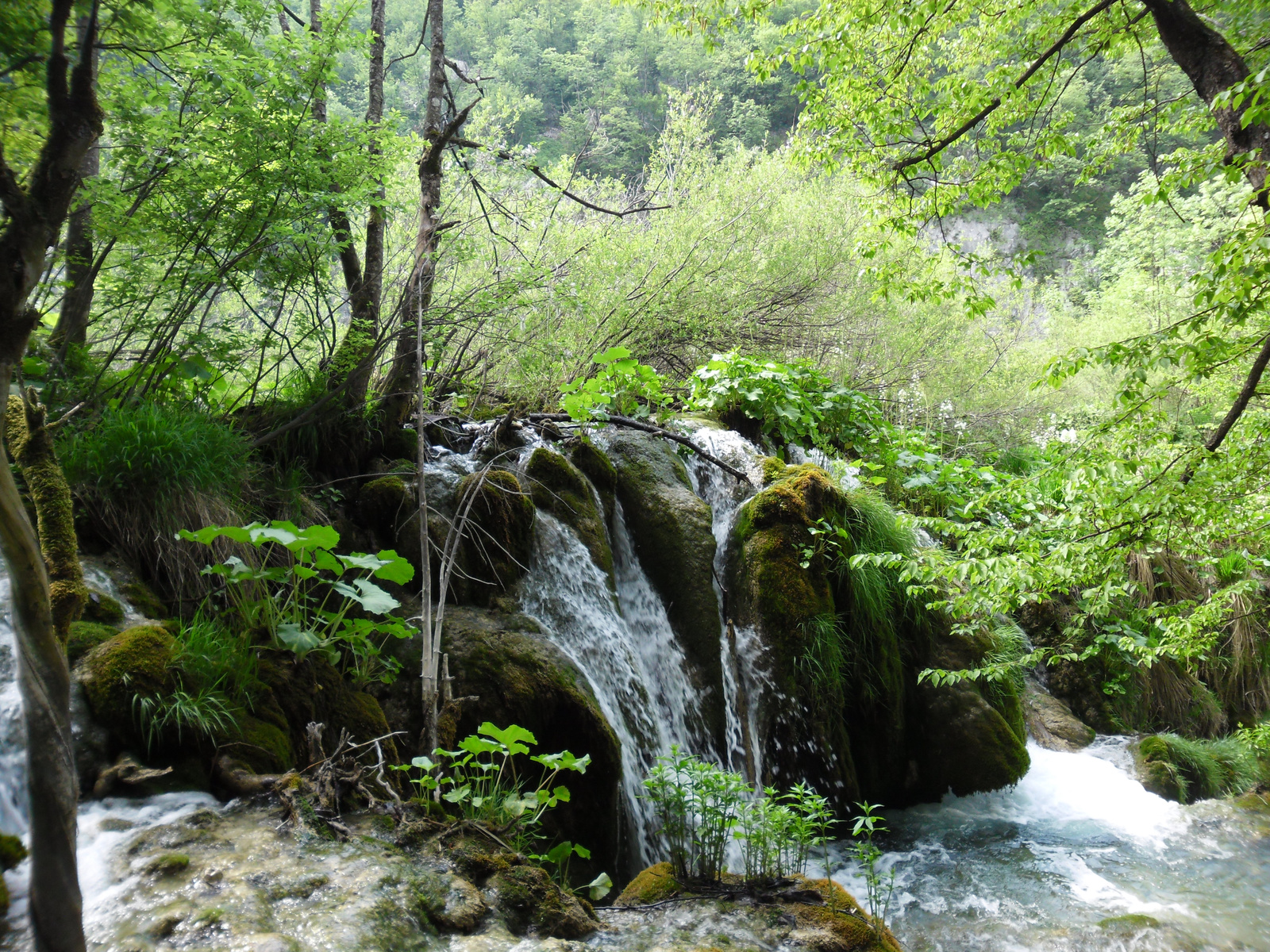 Plitvice 2011.05.21. 037