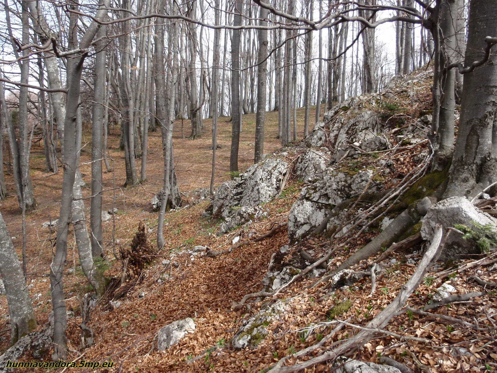 A Nyerskőn