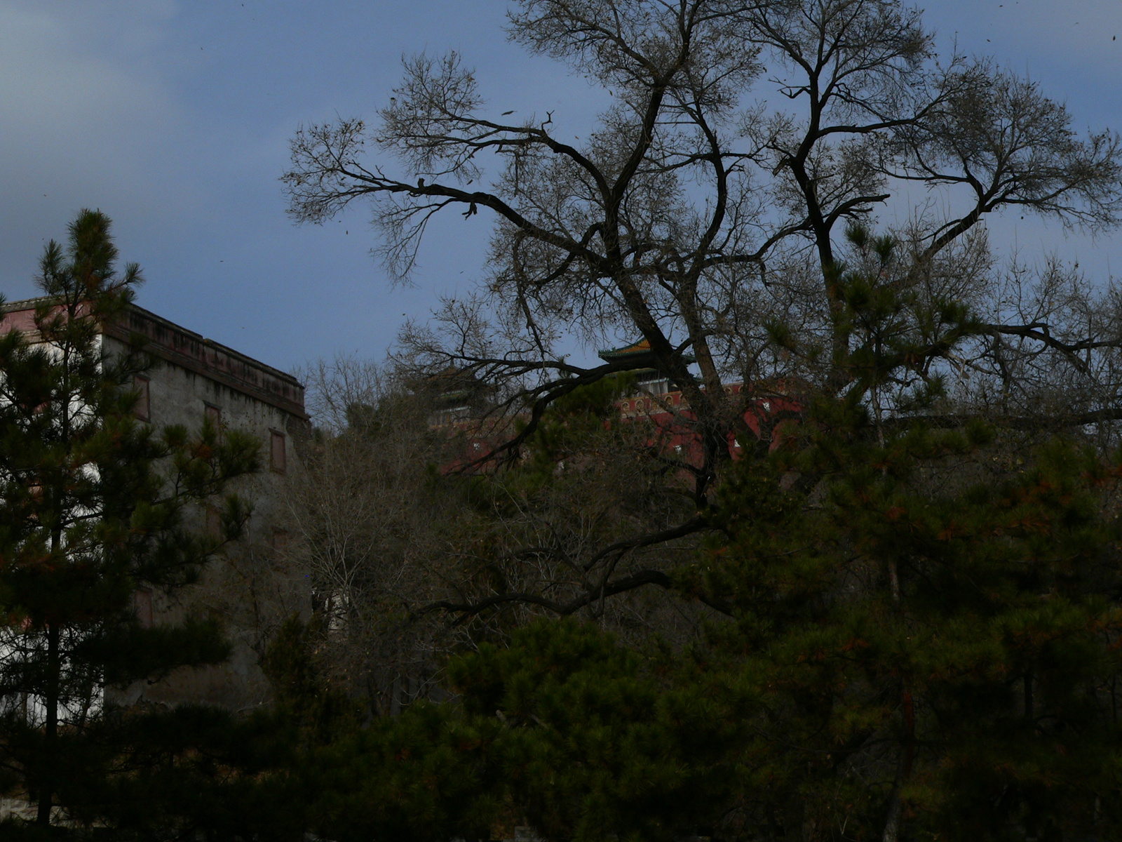 Chengde (106)