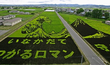 rice art1