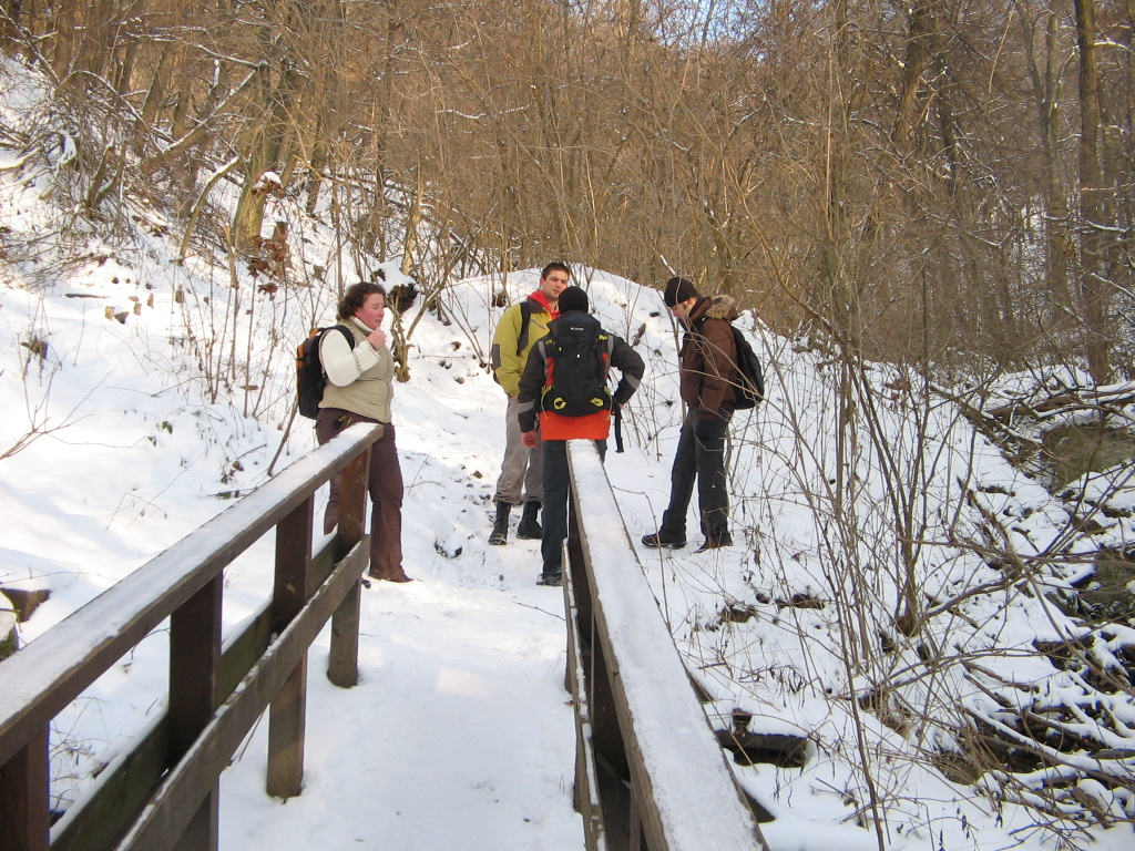 Holdvilág árok, Lajosforrás túra 2010.01.24. 005