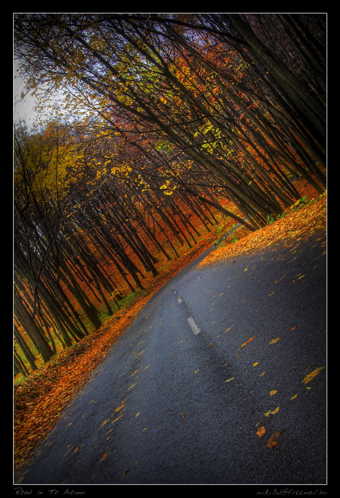 road in to autumn